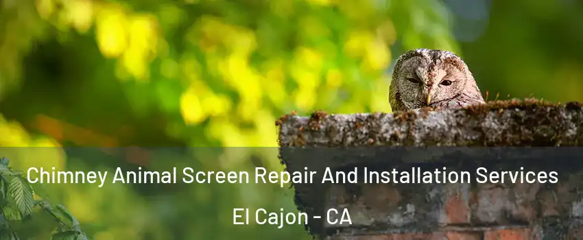 Chimney Animal Screen Repair And Installation Services El Cajon - CA